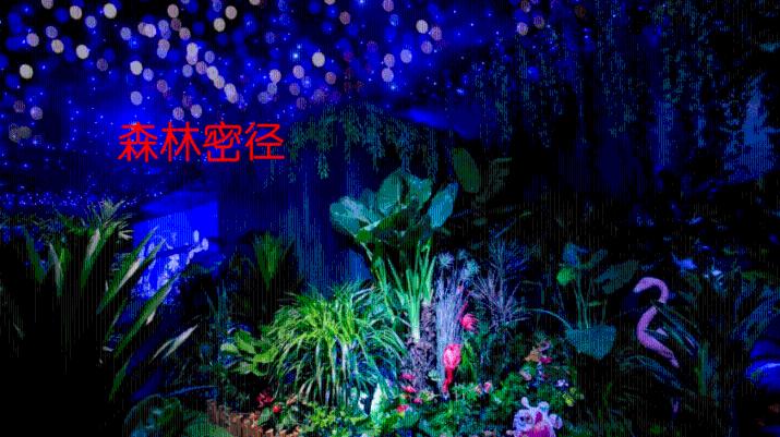 小猫钓鱼正版下载中文版